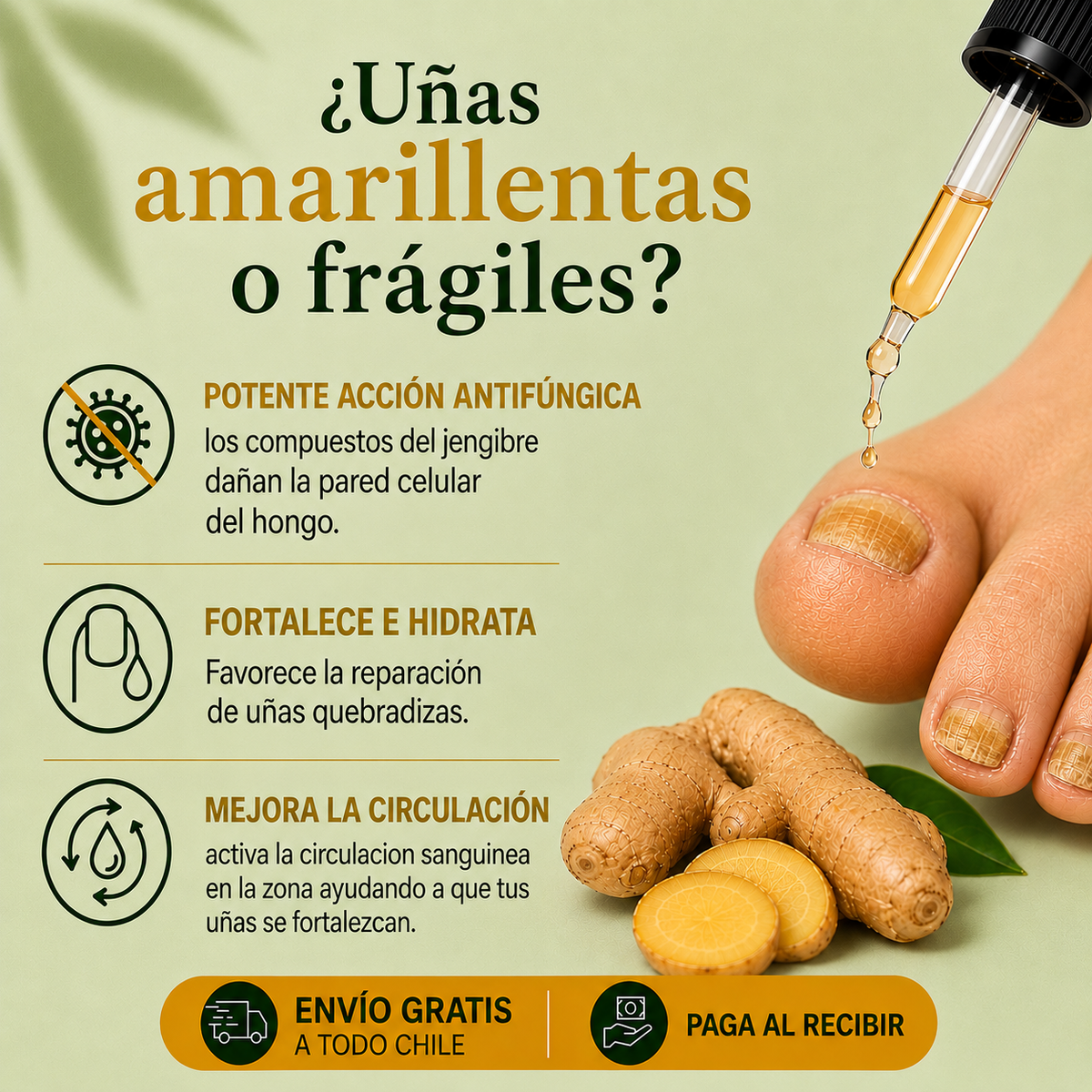 Suero de Jengibre Antifúngico para Uñas